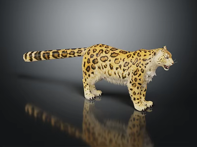 Snow Leopard Realistic Model With Spotted Yellow Fur Long Tail Standing On Shiny Surface Reflection 3d model