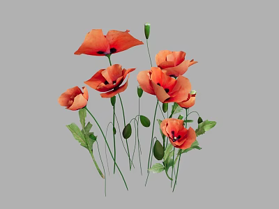 Vibrant Orange Poppies with Green Stems and Fresh Leaves Arranged on Grey Background 3d model