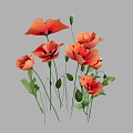 Vibrant Orange Poppies with Green Stems and Fresh Leaves Arranged on Grey Background