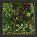 Green Plant Wall with Diverse Plants Various Green Tones and Lush Foliage for Indoor Decor