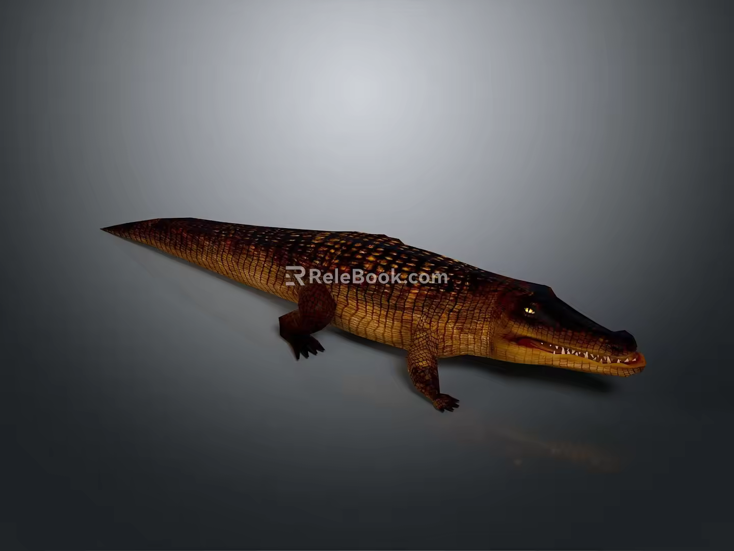 Crocodile Alligator Nile Crocodile carnivore reptile cold-blooded animal reptile 3d model
