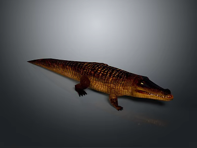 Crocodile Reptile With Brown And Yellow Scales Long Body On Gray Background 3d model