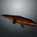 Crocodile Alligator Nile Crocodile carnivore reptile cold-blooded animal reptile 3d model