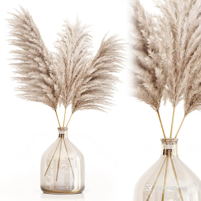 Transparent Glass Vases With White Pampas Grass For Home Decorative 3d model 