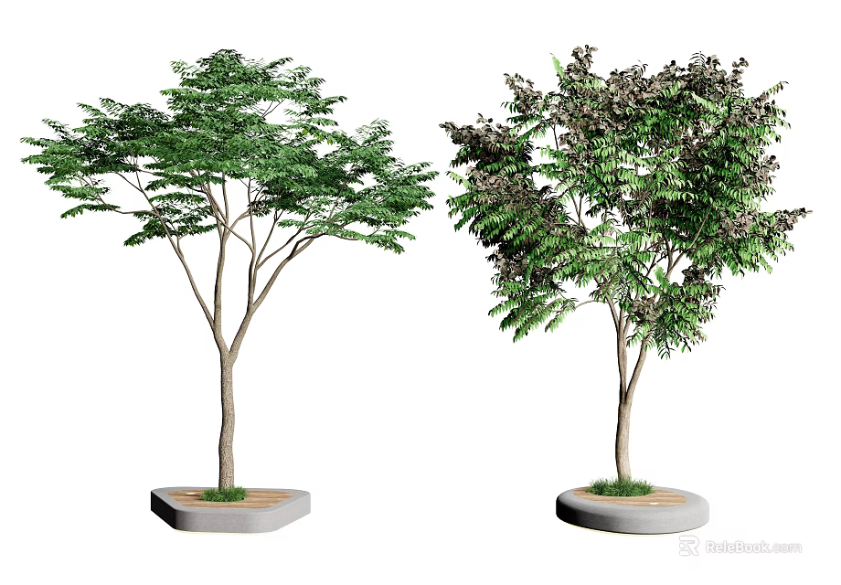 Tree Planter with Concrete Base and Green Leafy Trees in Outdoor Area 3d model 