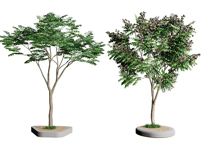 Tree Planter with Concrete Base and Green Leafy Trees in Outdoor Area 3d model