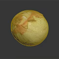 Fresh Peeled Yellow Onion With Orange Skin On Dark Reflective Background