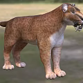 Destruction blade tooth tiger saber tooth tiger chaos blade tooth tiger 3d model