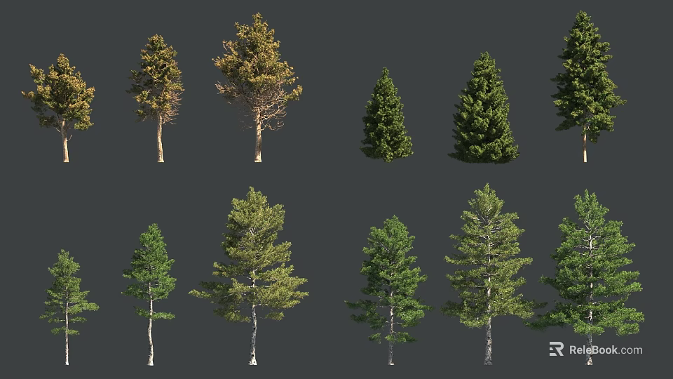 Various Arbor Species Display Different Foliage Shapes Sizes And Growth Habits 3d model 