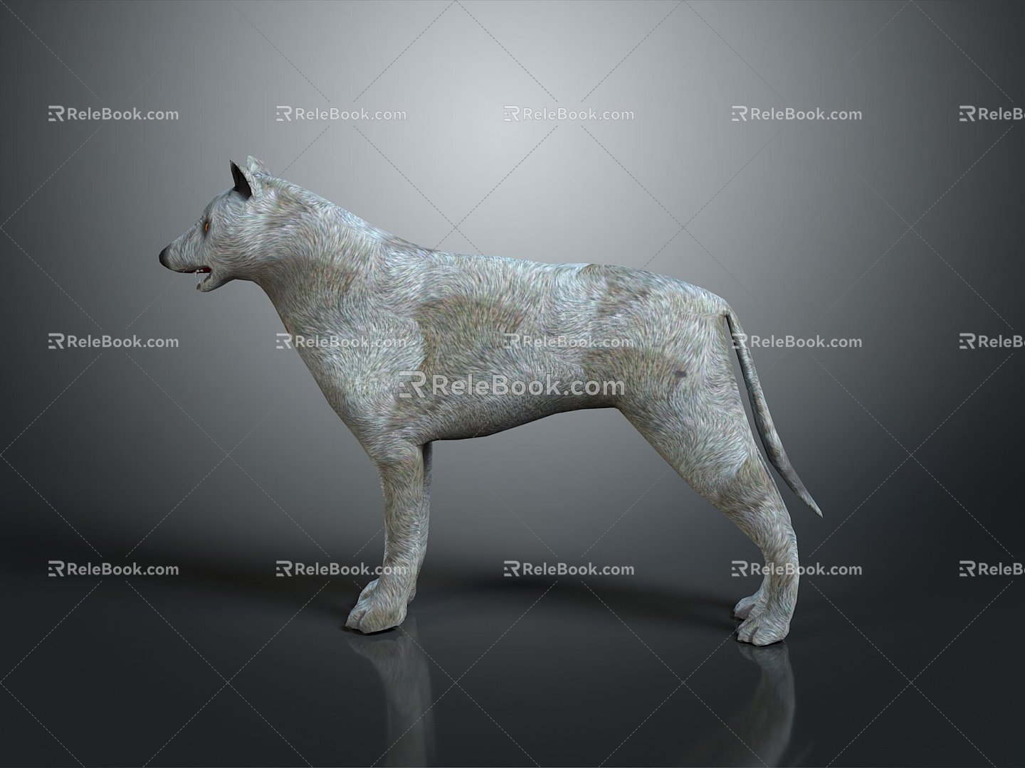 Wolf Cartoon Wolf Animation Wolf Animation Wolf Wolf Big Bad Wolf Wolf Warrior Cartoon Character Cartoon Animal 3d model