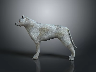 Gray and White Dog Game Character 3D Model in Standing Pose with Dark Background 3d model