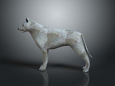 Wolf Cartoon Wolf Animation Wolf Animation Wolf Big Bad Wolf Warrior Cartoon Character Cartoon Animal 3d model