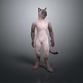 Game Film Character Feline Humanoid 3D Model Green Eyes White Body Standing Pose and Tail
