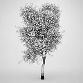 Tree 3d model