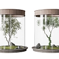 arbor indoor plant landscaping sketch indoor tree pool landscape tree 3d model