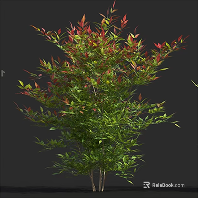 Lush Garden Shrub with Green and Red Foliage in Natural Outdoor Setting 3d model 