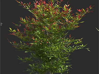 Lush Garden Shrub with Green and Red Foliage in Natural Outdoor Setting 3d model