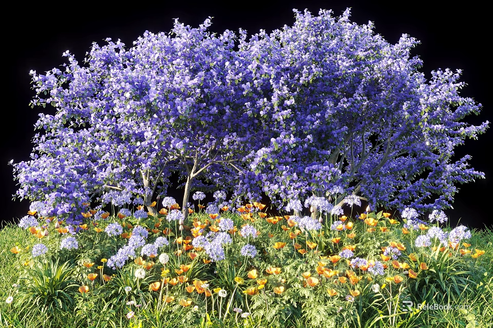 Vibrant Purple Flowering Trees With Surrounding Yellow And White Small Flowers In Garden 3d model 