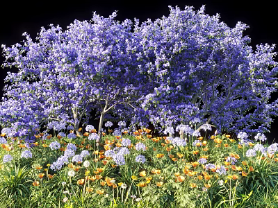 Vibrant Purple Flowering Trees With Surrounding Yellow And White Small Flowers In Garden 3d model