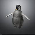 Baby Penguin Standing With Outstretched Wings Gray Body White Belly Yellow Beak On Dark Surface
