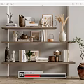 Modern Decorative Ornaments Set on Shelves with Vases Picture Frames Books and Plants