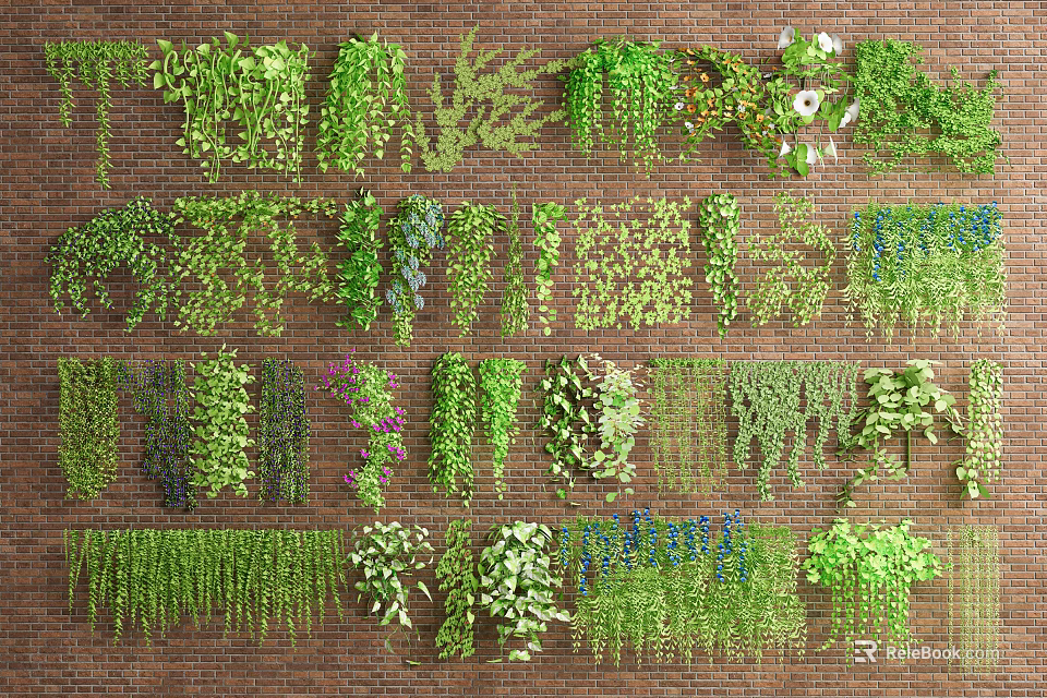 Various Green Vines Growing On Brick Wall Background With Different Foliage And Decorative Hanging Varieties 3d model 