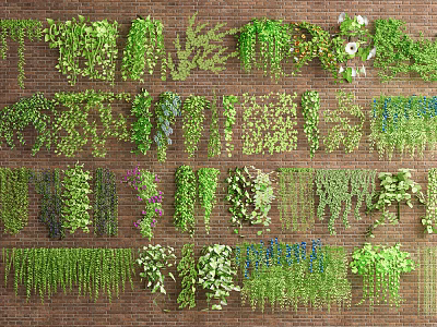 Various Green Vines Growing On Brick Wall Background With Different Foliage And Decorative Hanging Varieties 3d model