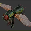 3D Rendered Fly With Red Eyes Green Yellow Body And Transparent Wings Detailed Legs