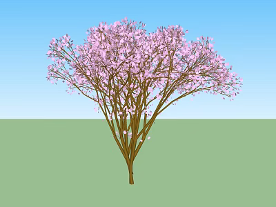 Pink Flowering Tree With Abundant Pink Blossoms Against Blue Sky And Green Grass 3d model