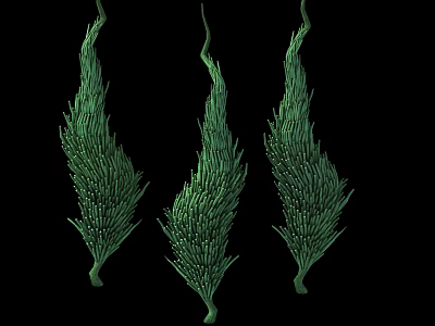 Three Green Feathery Plants With Slender Stems And Dense Leaves On Black Background 3d model