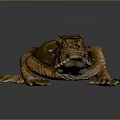 Detailed Brown And Orange Spotted Lizard With Horned Head On Dark Background