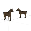 Two Brown Horses Standing With Mane And Tail On White Background