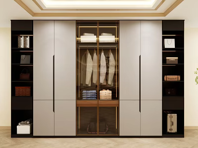 Modern Wardrobe with Glass Door Gray Black Panels Hanging Clothes and Storage Shelves 3d model