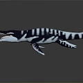3D Ichthyosaur Model With Black and White Stripes Open Mouth Sharp Teeth Dark Reflective Background