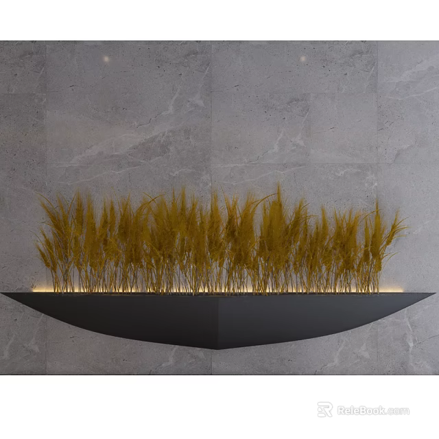 Yellow Grass Plants Arranged On Black Curved Shelf With Gray Marble Wall And Under Lighting 3d model 