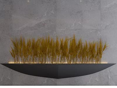 Yellow Grass Plants Arranged On Black Curved Shelf With Gray Marble Wall And Under Lighting 3d model