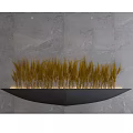 Yellow Grass Plants Arranged On Black Curved Shelf With Gray Marble Wall And Under Lighting