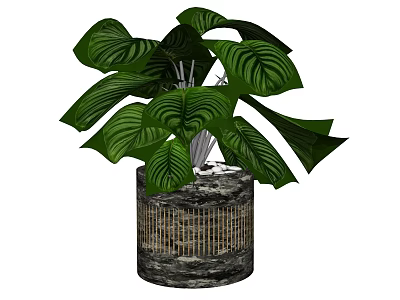 Lush Green Leafy Potted Plant With Large Veined Leaves In Textured Decorative Pot 3d model