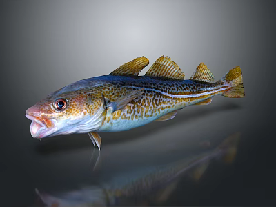 Vibrant Fish with Open Mouth Yellow Fins and Blue Patterns on Dark Background with Reflection 3d model