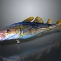 Vibrant Fish with Open Mouth Yellow Fins and Blue Patterns on Dark Background with Reflection