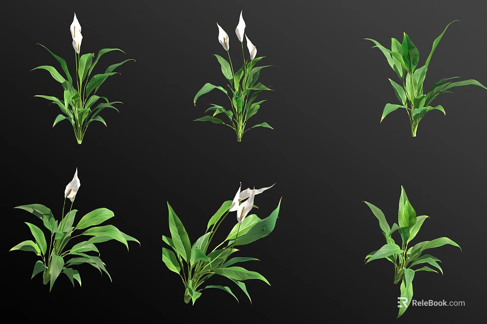 Various Bonsai Potted Plants With Green Leaves And White Flowers For Decoration 3d model 