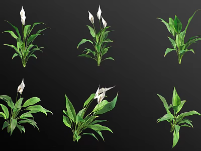 Various Bonsai Potted Plants With Green Leaves And White Flowers For Decoration 3d model