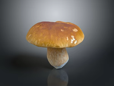 Fresh Edible Mushroom With Smooth Orange Brown Cap And Firm White Stem 3d model