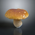 Fresh Edible Mushroom With Smooth Orange Brown Cap And Firm White Stem