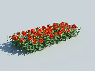 Blooming Red Flowers With Fresh Green Leaves Arranged In A Row Against Light Blue Background 3d model