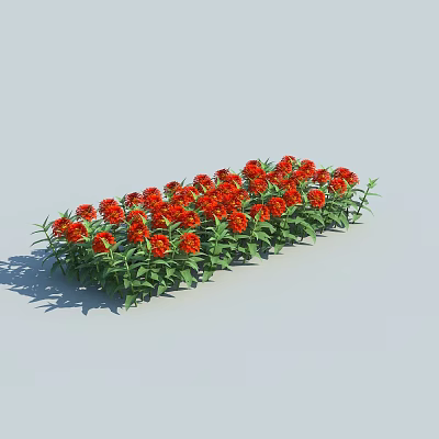 Blooming Red Flowers With Fresh Green Leaves Arranged In A Row Against Light Blue Background 3d model