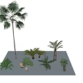 Various Arbor Trees Including Palm Trees On White Platform With Blue Sky 3d model