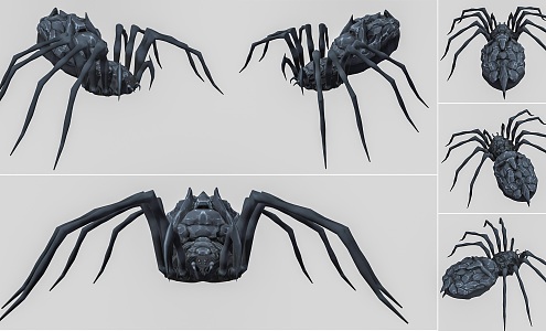 Modern Giant Spider Poisonous Spider Reptile Spider Octagonal Monster Insect Spider 3d model