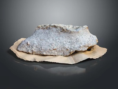 Natural Wooden Board Supporting Textured Stone Piece With Organic Patterns And Earthy Tones 3d model