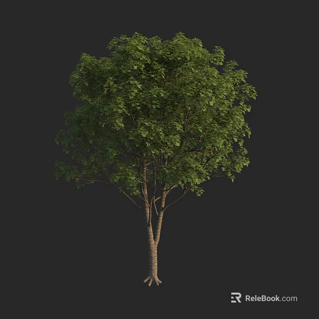 Tall Healthy Tree With Lush Green Leaves And Thick Brown Trunk 3d model 